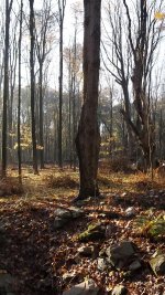 DSCF1377.jpg