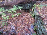 IMG_1852.jpg