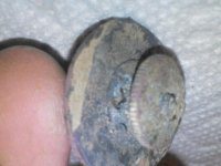 NCM_1350.jpg