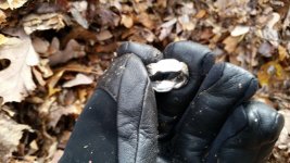Ring2.jpg