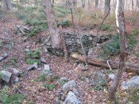 IMG_1945.jpg