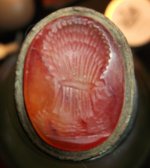 DSCF1703 (2).jpg