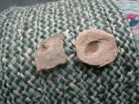 hunt with Dan KG Musketball Dandy 006.jpg