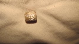 IMG_4136.jpg