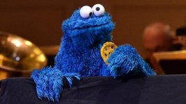 cookie monster 1.jpg