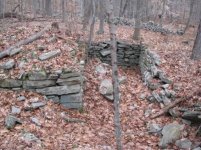 IMG_2165.jpg