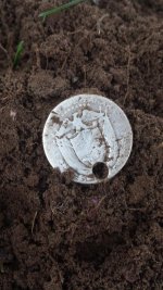 Balboa dirt reverse.jpg