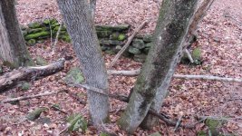 IMG_4939.jpg