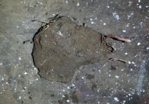 20150112_093132 dirt.jpg 20150112_093132 dirt.jpg