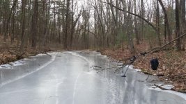 LongPond3.jpg