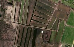 Irrigation fields.jpg