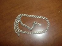 first silver of 2015 003.jpg