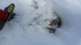 SnowClad1.jpg