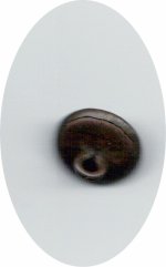 button8.JPG