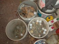 All of my finds 004.jpg