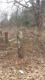 Stone posts.jpg Stone posts.jpg