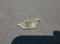 Another fancy brass piece 004.jpg