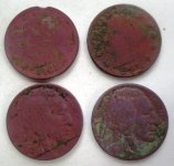 April Nickels.jpg