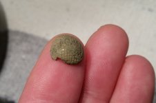 Button.jpg Button.jpg