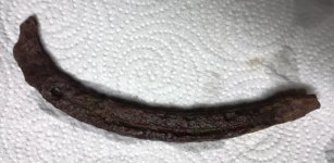 Horse Shoe.jpg