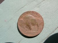buff and wheat 004.jpg