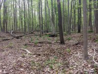 20150506_160658.jpg