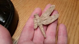 Dragonfly1080p.jpg