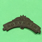 souvenir_pin.png