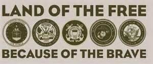 land of the free because of the brave.jpg