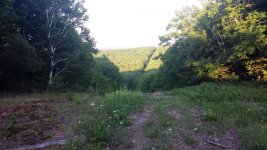 Hiking Hills.jpg
