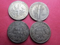 June silver back.jpg