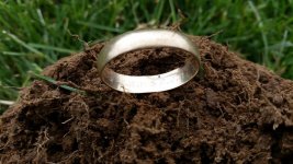 GoldRing2.jpg