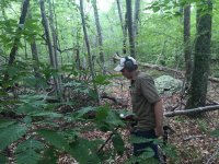 IMG_9957.jpg