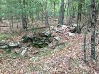 IMG_0133.jpg
