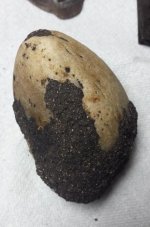 Egg Rock.jpg