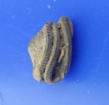 Folded quarter.jpg