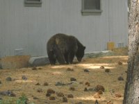 DSCN5347.jpg