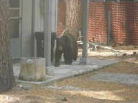 DSCN5348.jpg