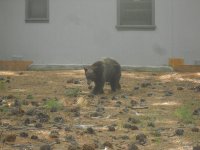 DSCN5349.jpg