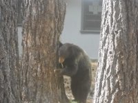 DSCN5350.jpg