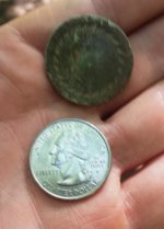 Dandy Button.jpg Dandy Button.jpg