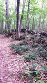 Stone wall Trail.jpg Stone wall Trail.jpg