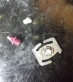 YTC beach finds.jpg YTC beach finds.jpg