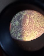 Nova Date Zoom.jpg