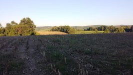 Farm hills.jpg