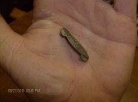 old native pin 002.jpg
