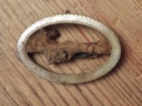 Knee Buckle Wood bckgnd.jpg Knee Buckle Wood bckgnd.jpg