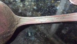 Large spoon Olm.jpg Large spoon Olm.jpg