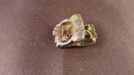 20151015_192159.jpg