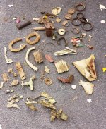 Trash Finds.jpg